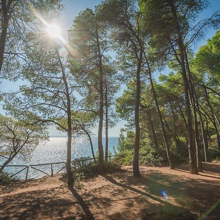 Squirrel Beach Front Villa, Metamorfosi Exterior photo