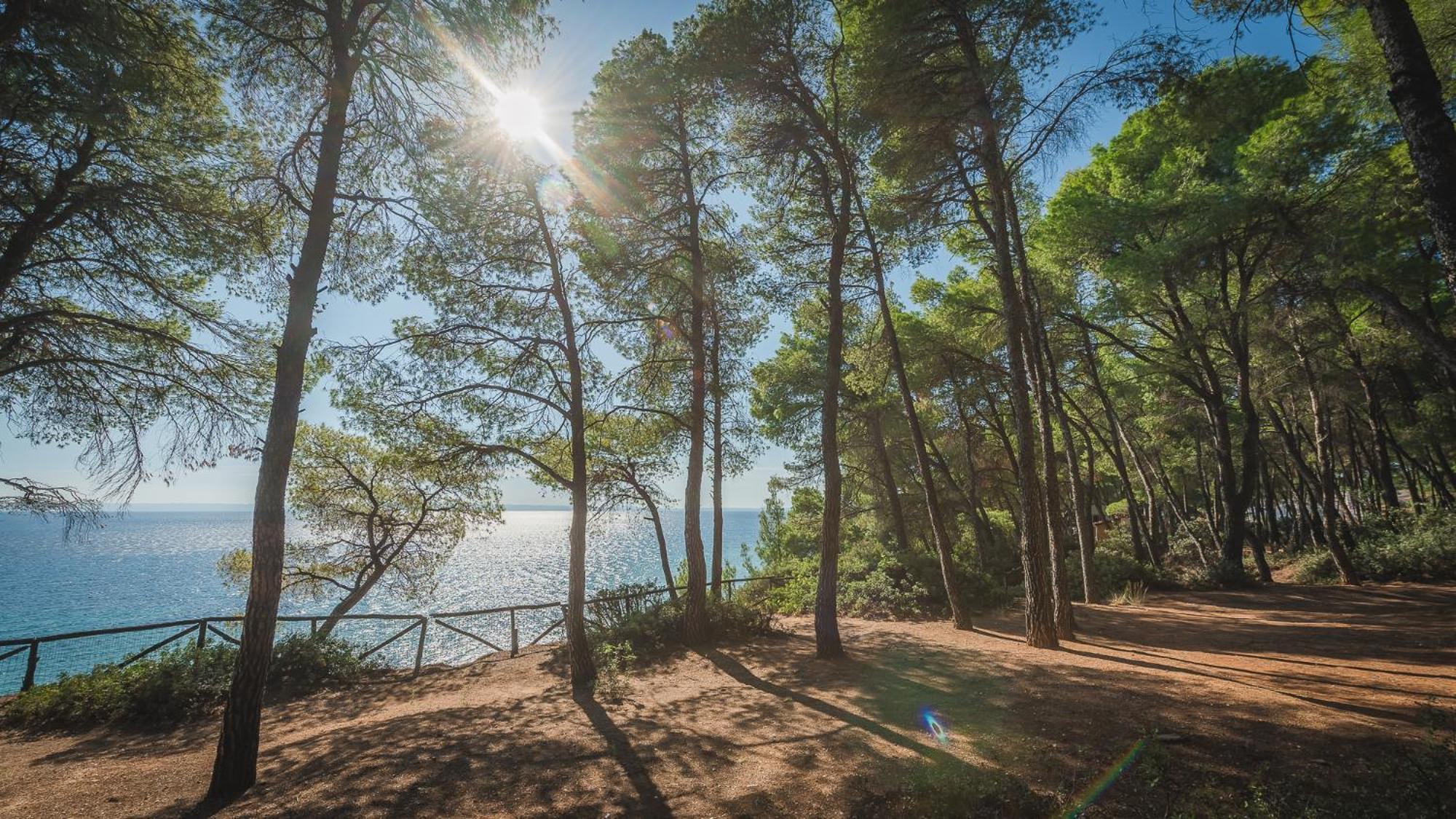 Squirrel Beach Front Villa, Metamorfosi Exterior photo
